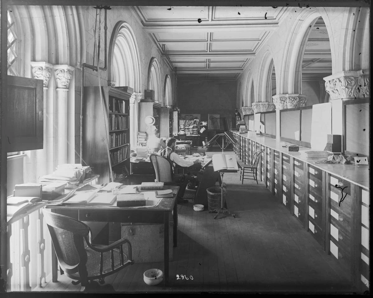 Area di lavoro del Dipartimento degli uccelli nella galleria sud-ovest della sala principale inferiore del Smithsonian Institution Building, o Castle, con Leonhard Stejneger, assistente curatore degli uccelli, in primo piano. 1880