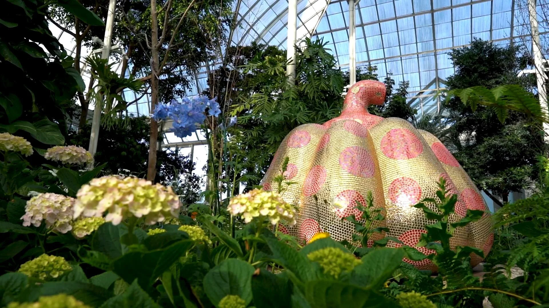 Installation view of Kusama: Cosmic Nature, New York Botanical Garden, 2021. Screeshot da video