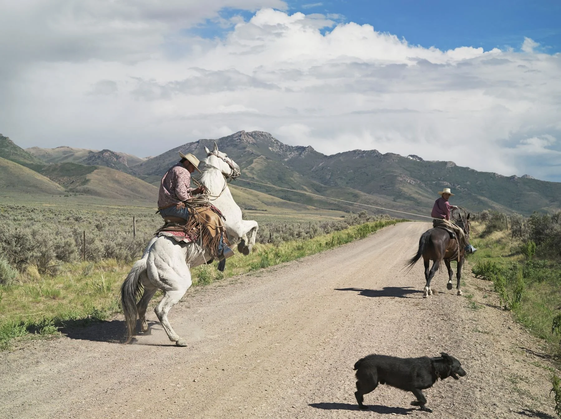 Lucas Foglia, FRONTCOUNTRY. Casey and Rowdy Horse Training
