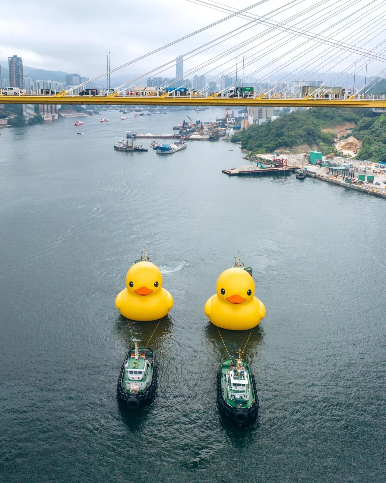 "Double Ducks", due enormi paperelle firmate da Florentijn Hofman fanno il bagno nel porto di Hong Kong