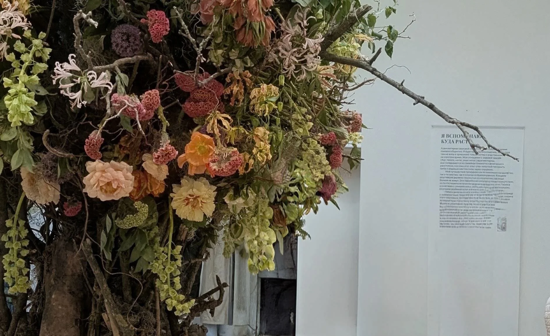Biennale di Venezia 2026: Bruxelles revoca i fondi per la Biennale. Ma com’era davvero il Padiglione Russia della discordia? L'ho  visitato per voi