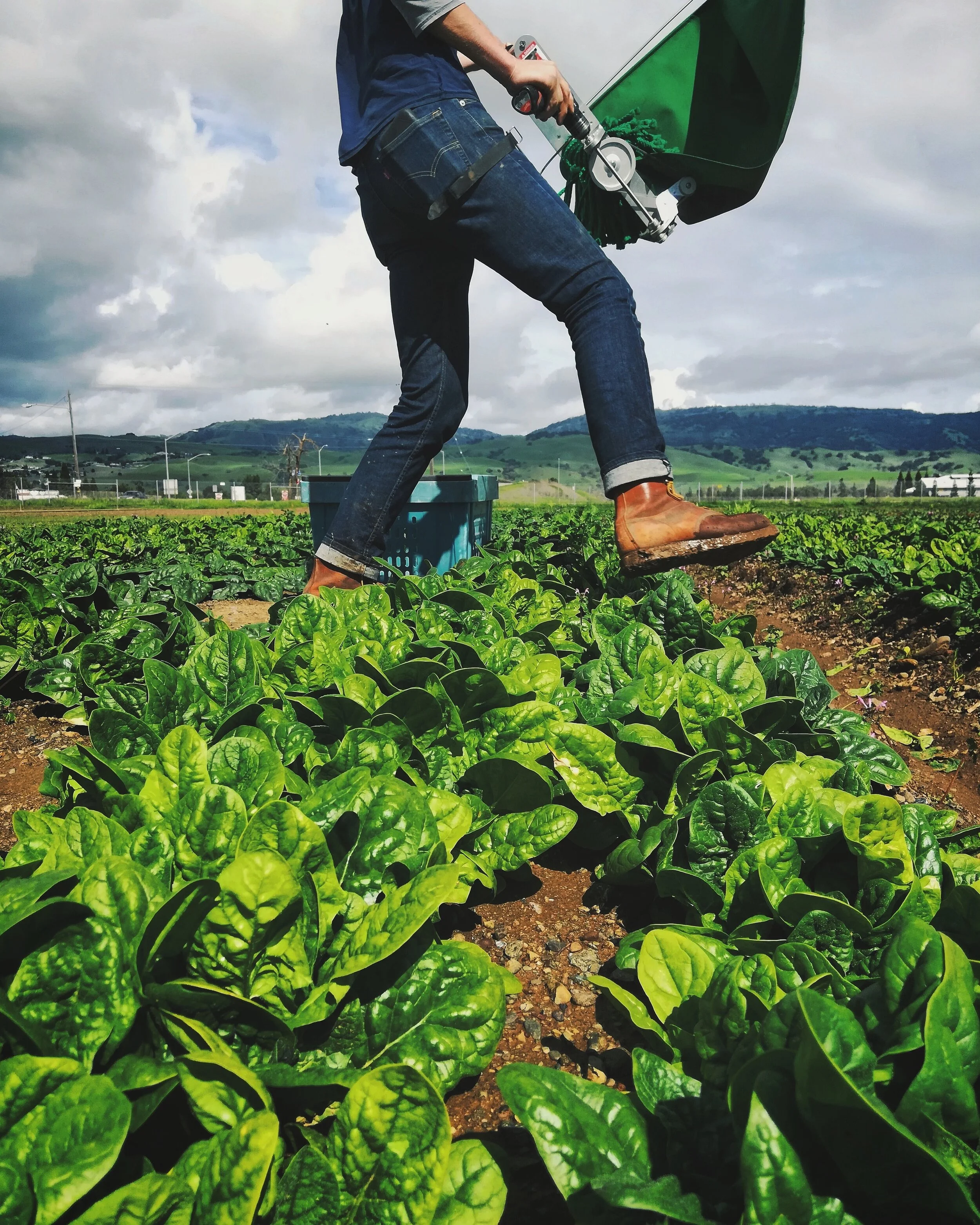 Alliance Report Cover Photo.jpg