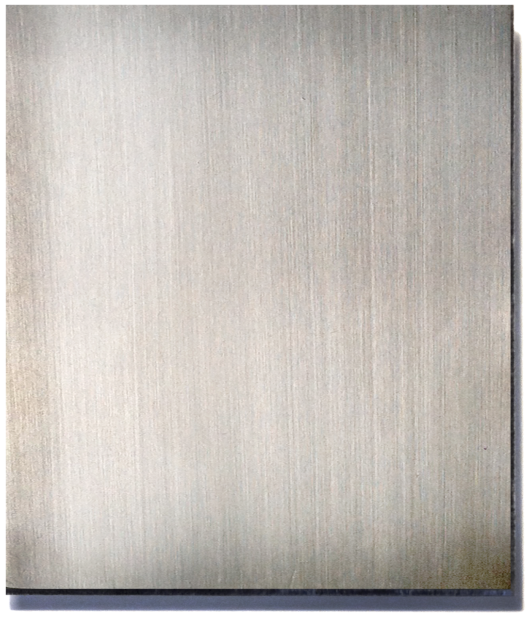 Brushed Stainless Steel.png
