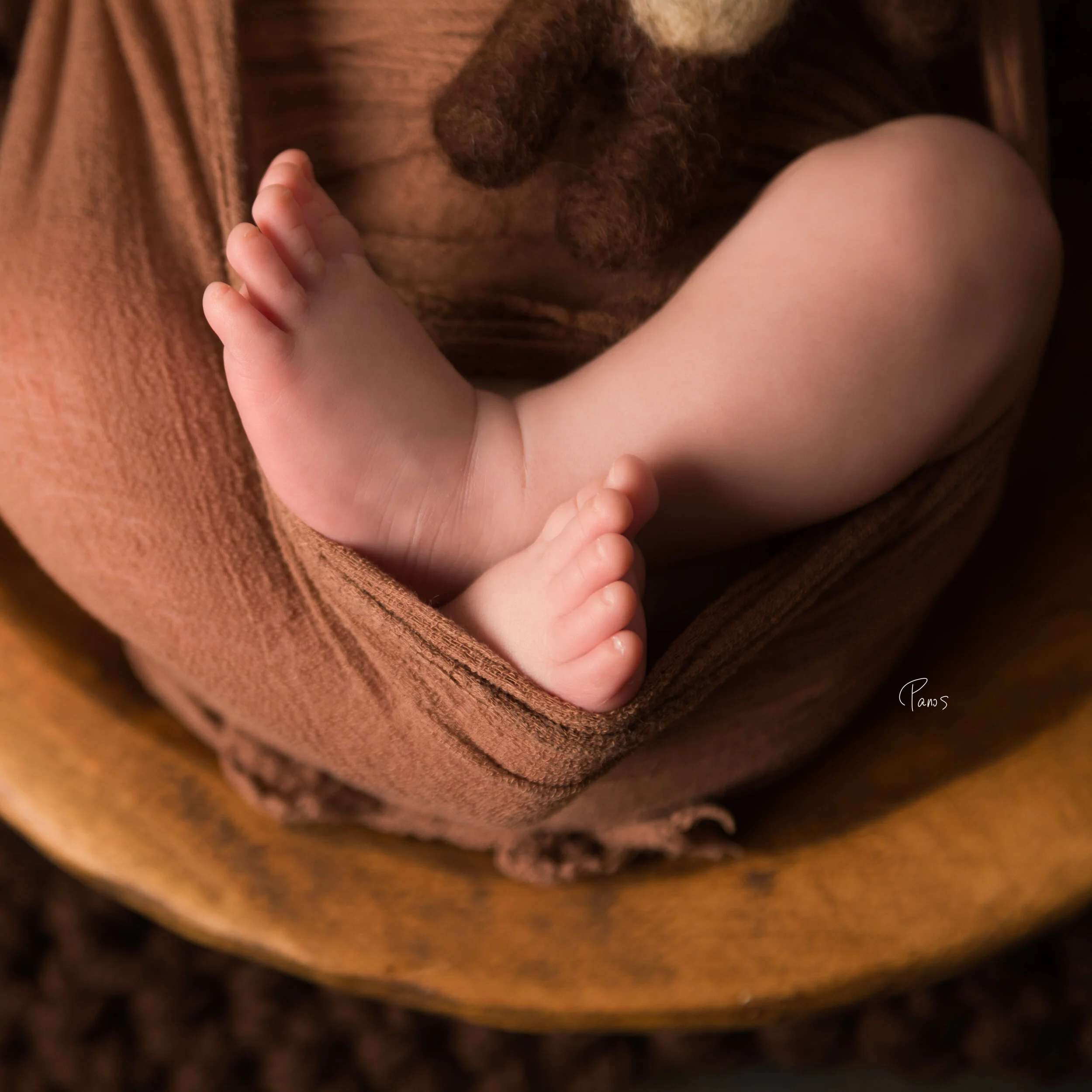 Newborn Photography Glendale