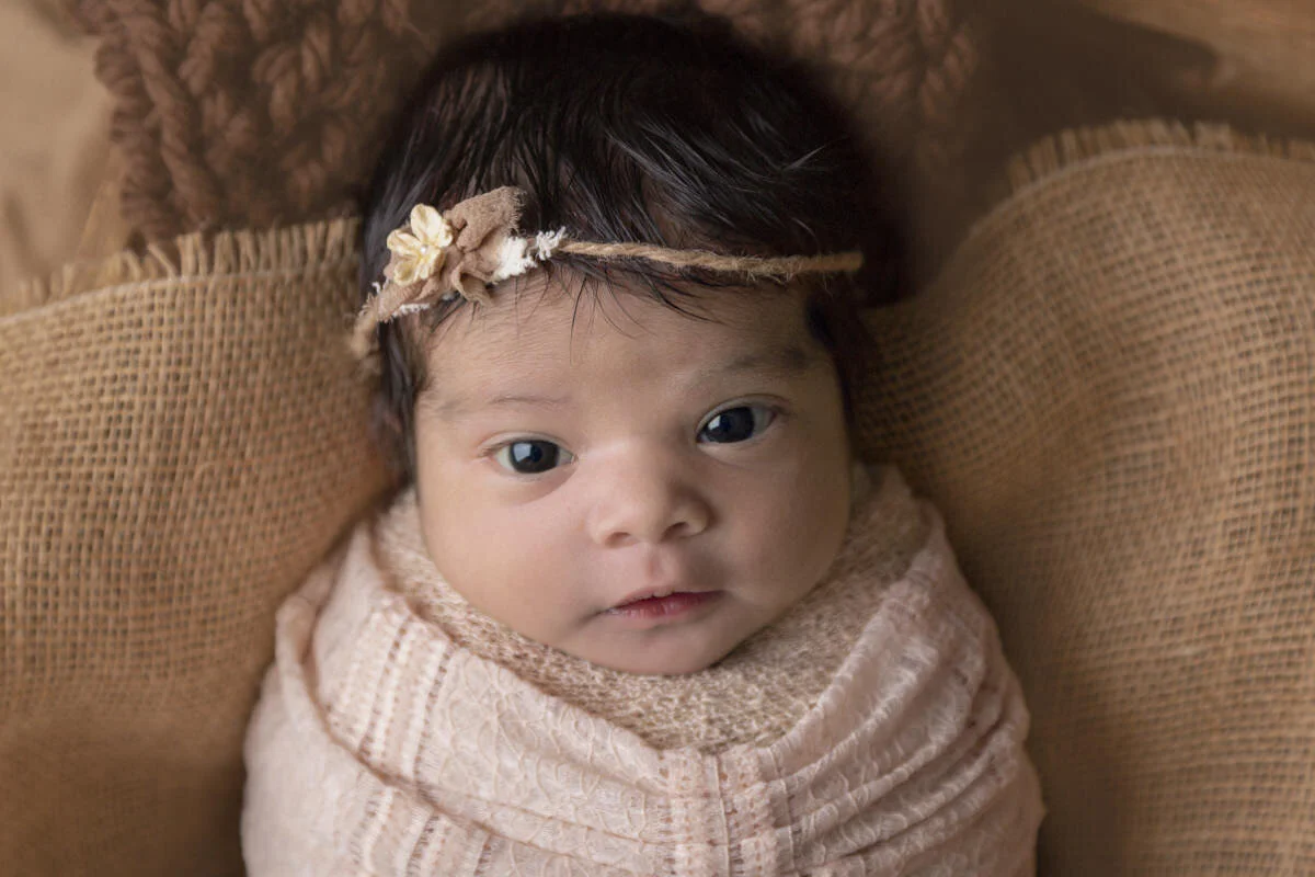 Newborn Photography Glendale