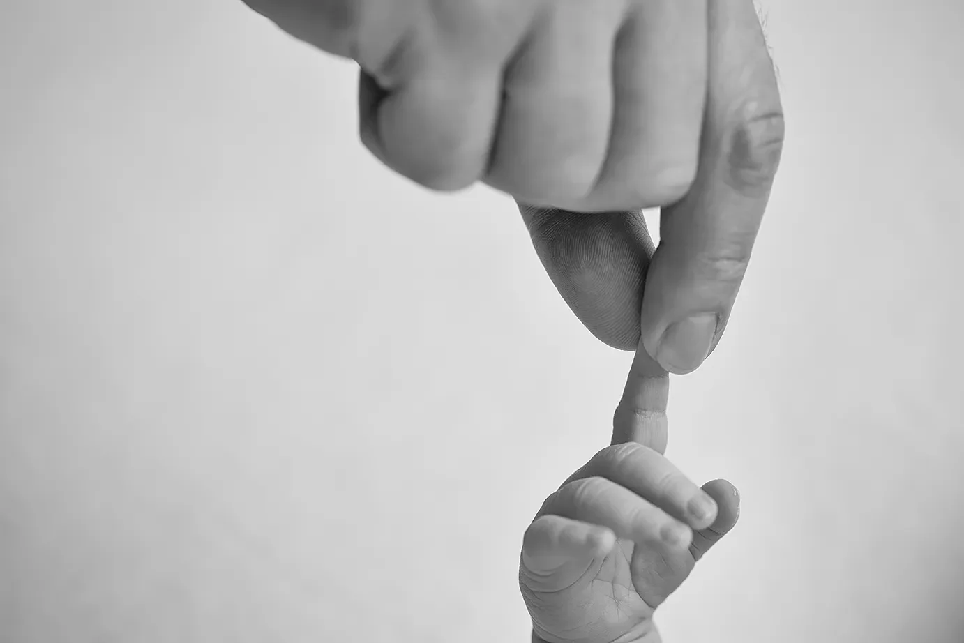  Close up of father and newborn son hands. 