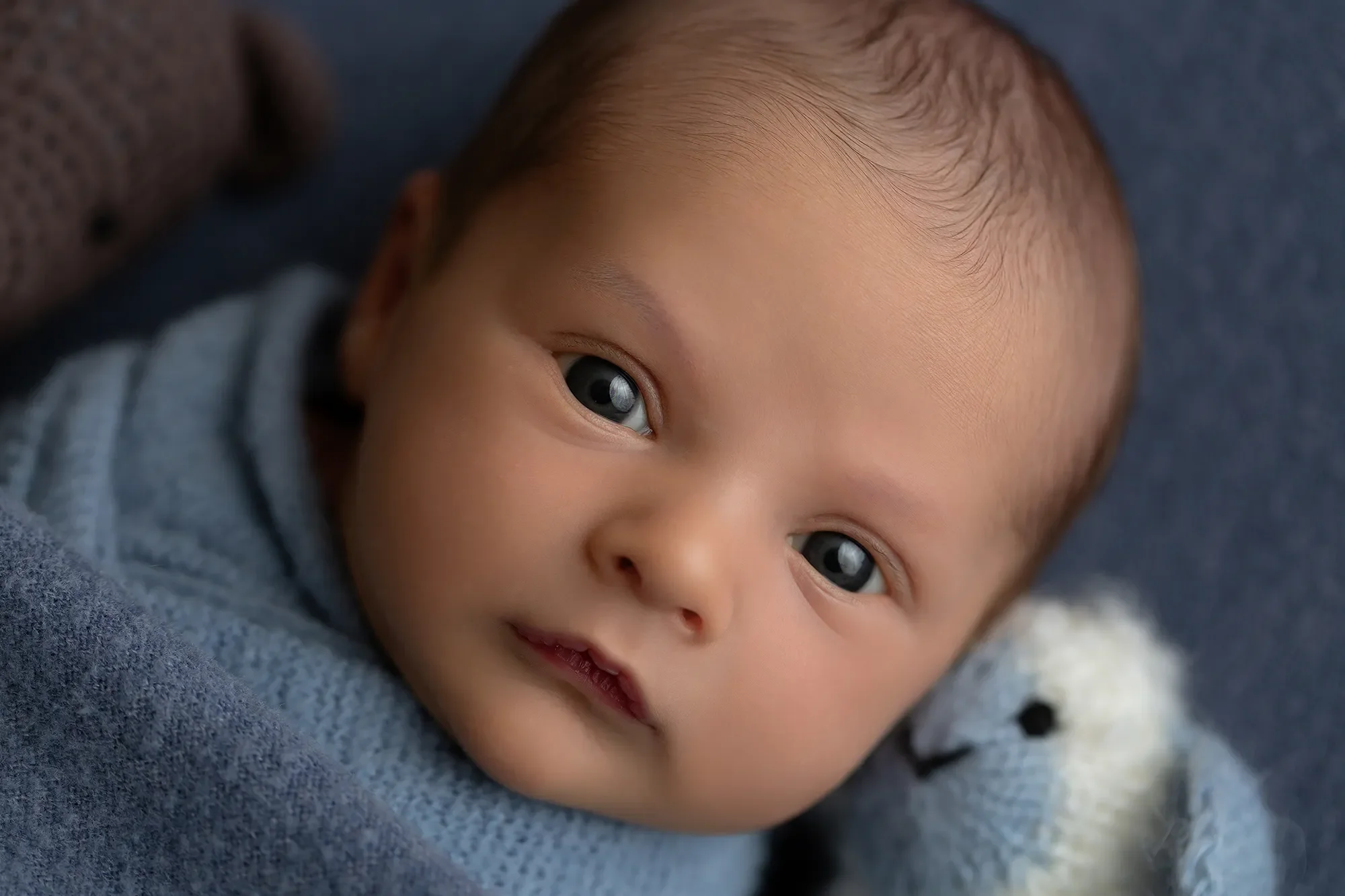 “awake newborn photography Los Angeles