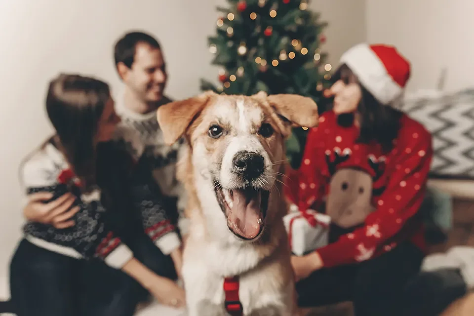 Tips for Having a Joyful and Stress-Free Christmas With Your Family