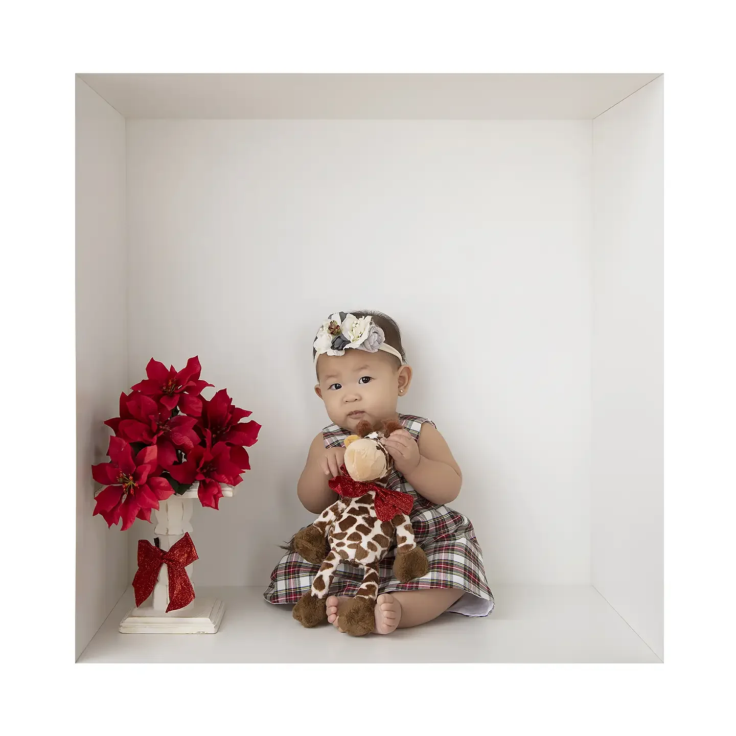 Why Baby In A Box Holiday Photos Make the Perfect Christmas Card