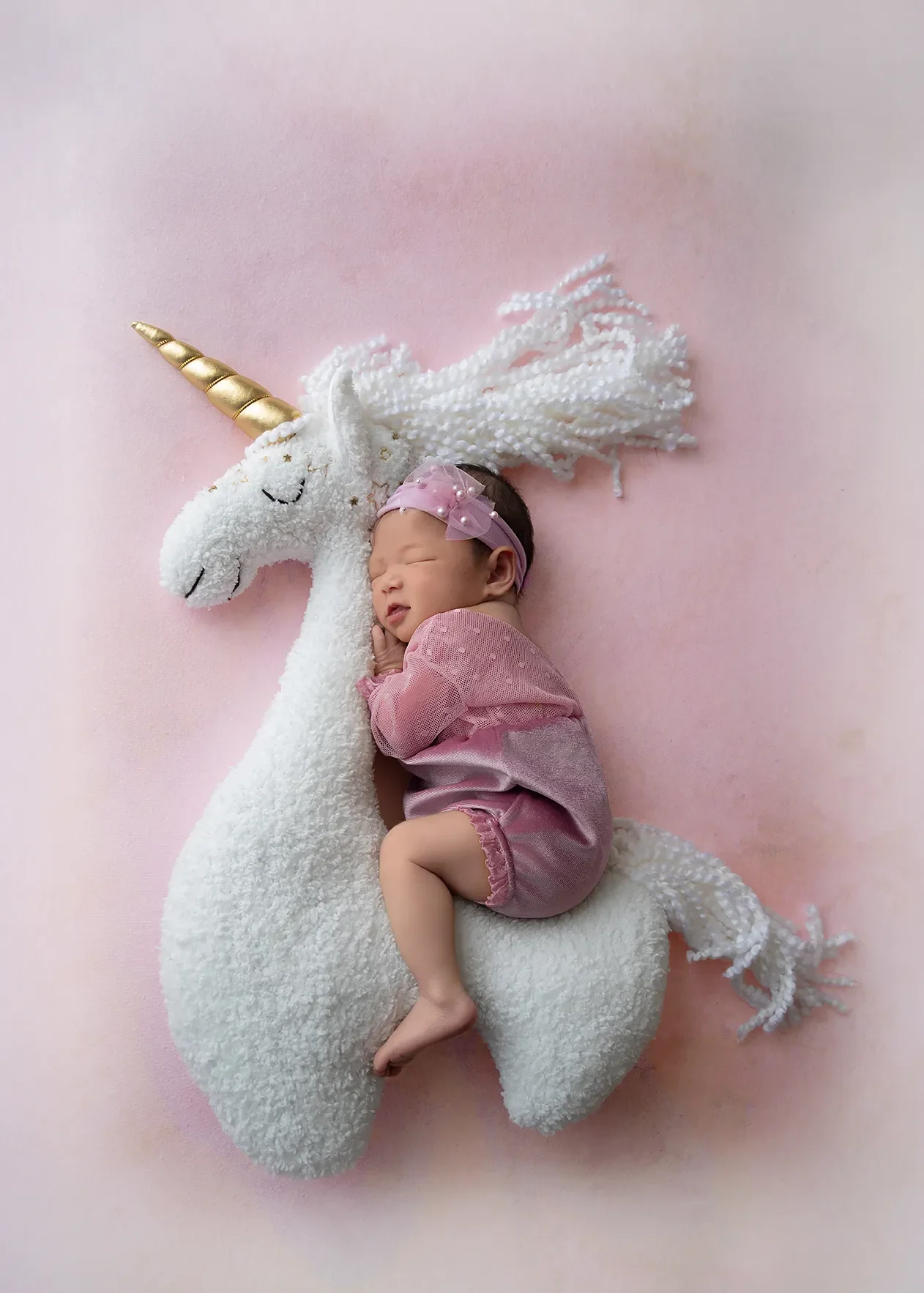 Whimsical Newborn Portrait | Los Angeles Newborn Photography