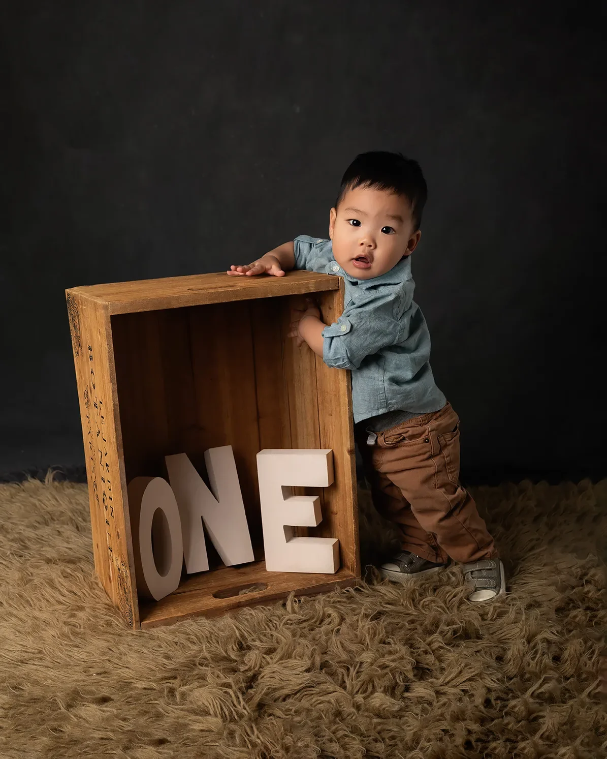 One-year-old boy standing beside a wooden crate with white letters spelling "ONE" during a classic first birthday milestone portrait session.