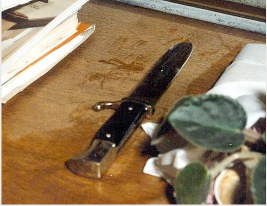 A picture of the knife Zimmer used to stab his mother and brother, and then watched them die. Courtesy: ABC News