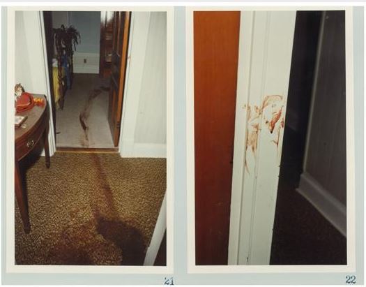 Crime scene of photo of blood throughout the house after Zimmer killed his family. Courtesy: ABC News