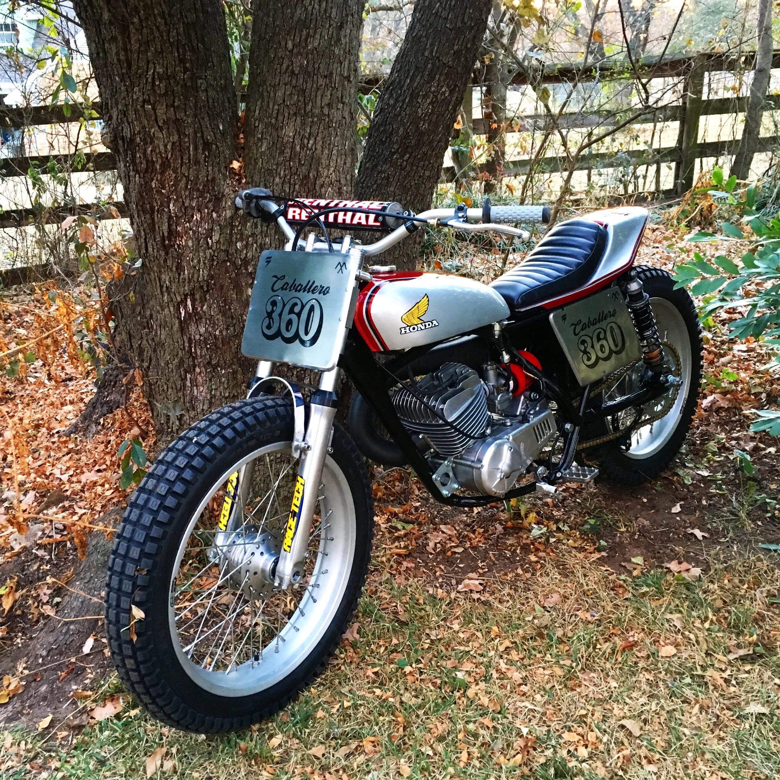  Found chained to a tree. Chained no longer. 