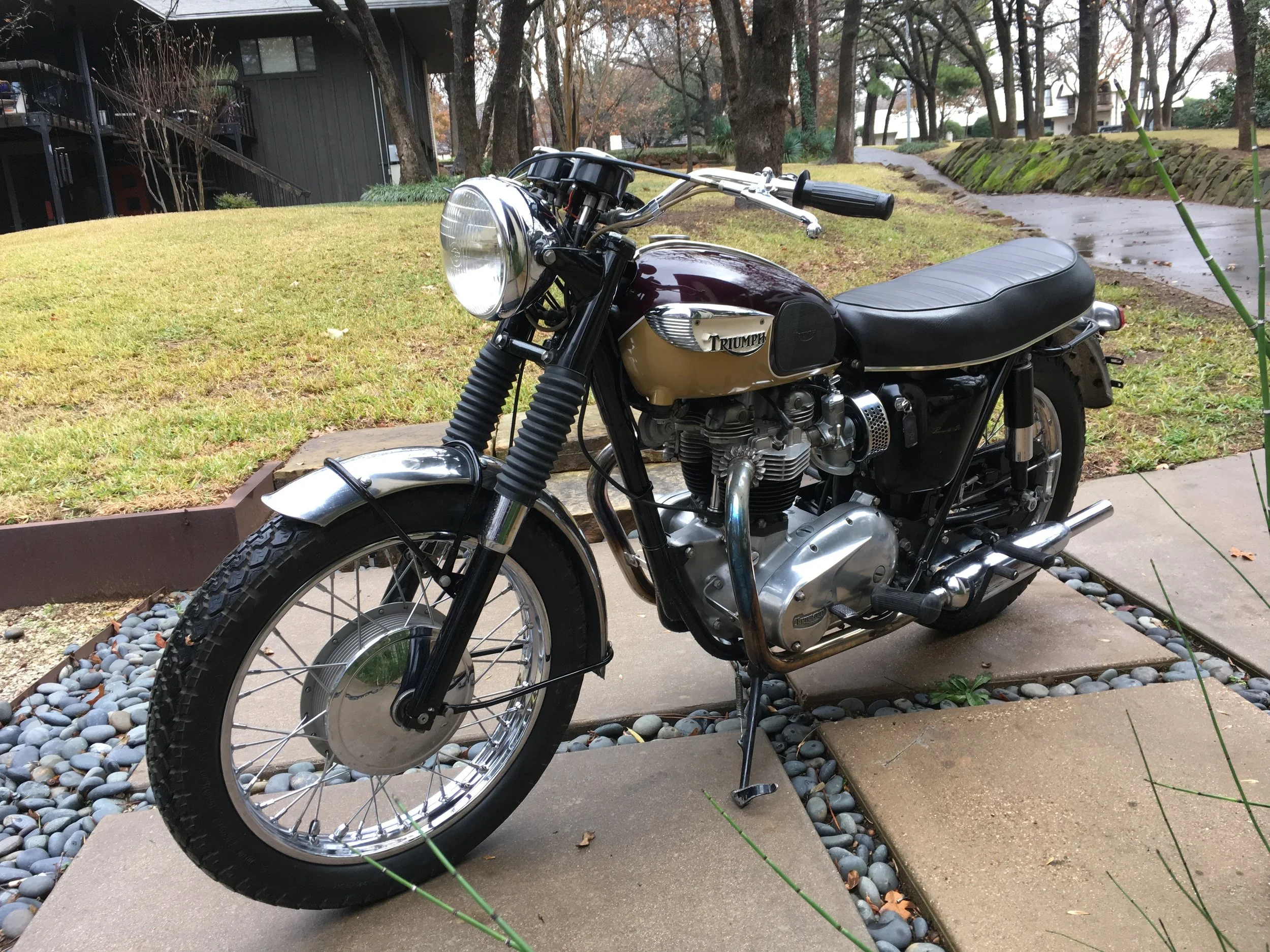  Such a classy English girl. 