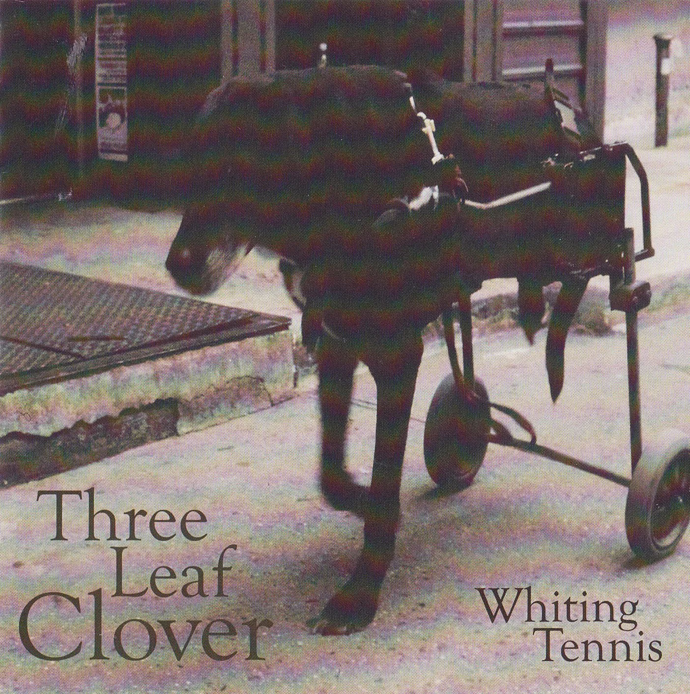 Three Leaf Clover cover .jpg