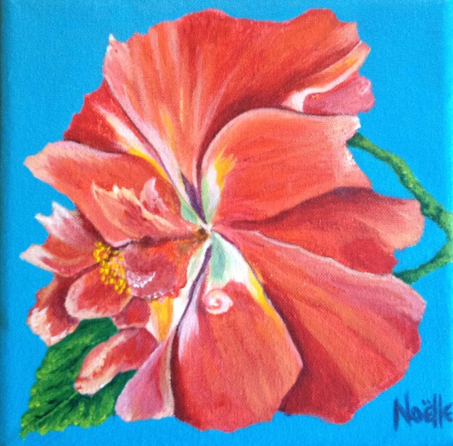 #1021 - Island Road Hibiscus 8 x 8