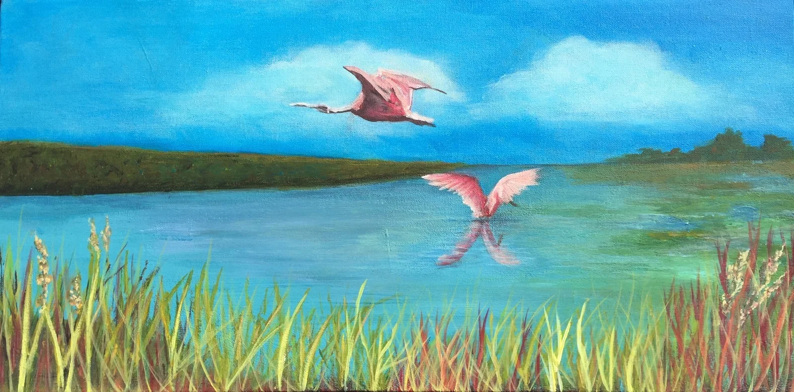 #1068 - Everglades Scene - Roseata Spoonbills