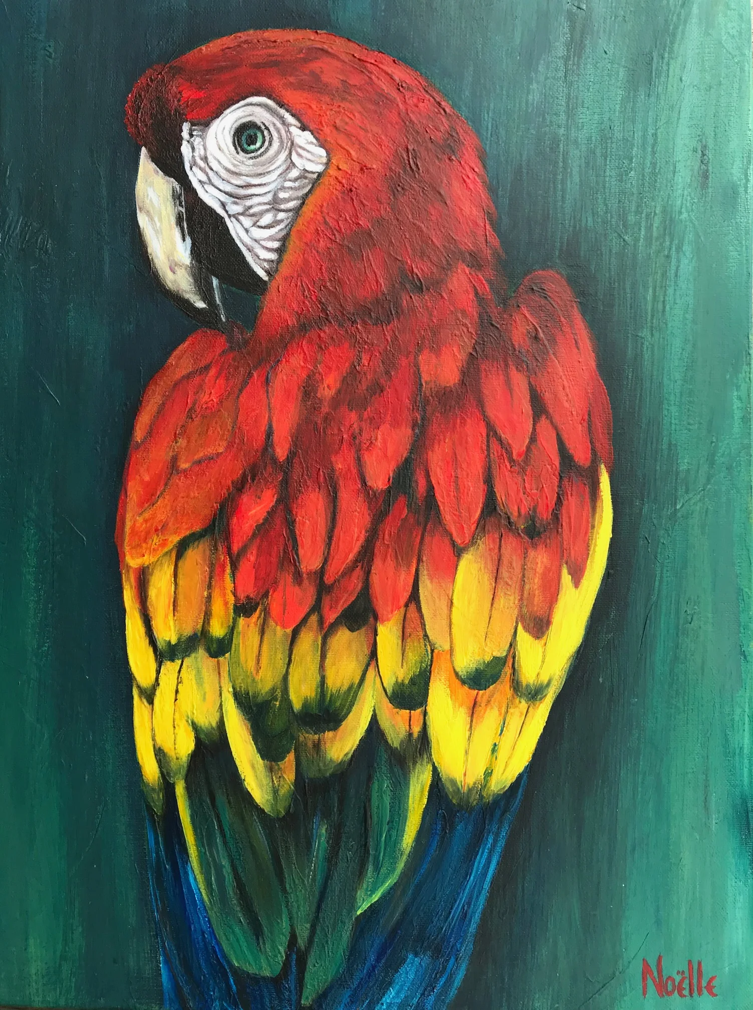 #1090 - Save Me Scarlet Macaw