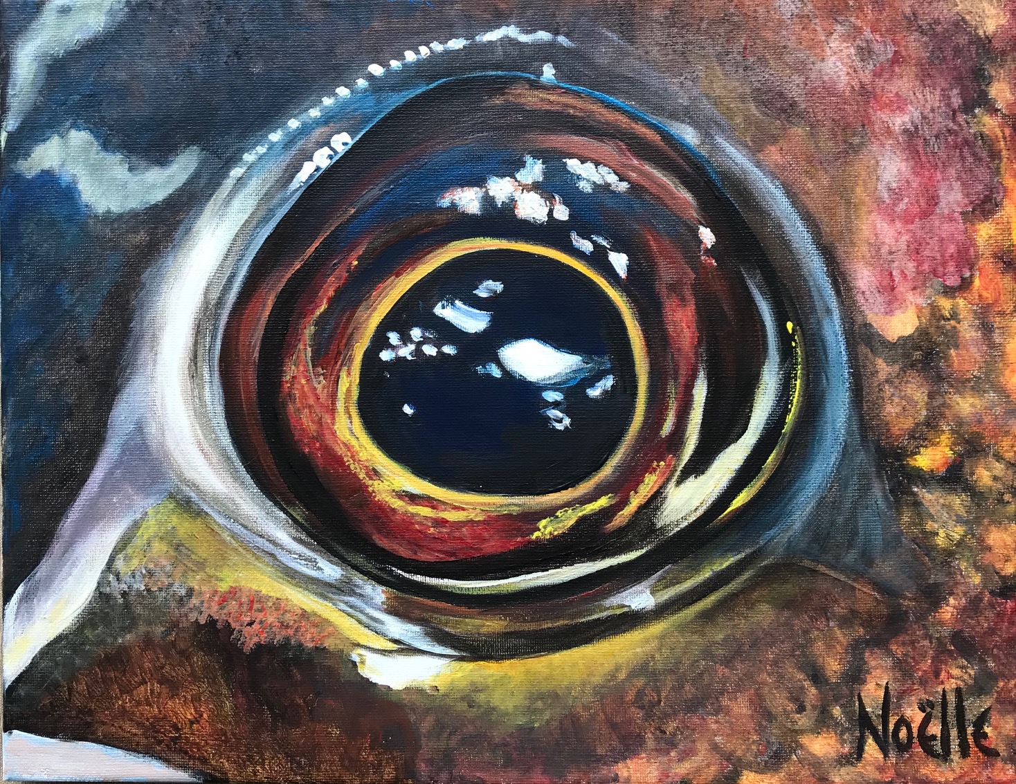 #1100 - Fish Eye - Sheepshead