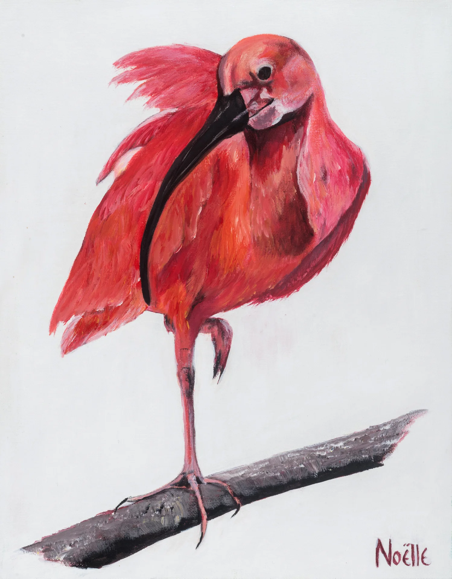 #1113 - Scarlet Ibis - Sold