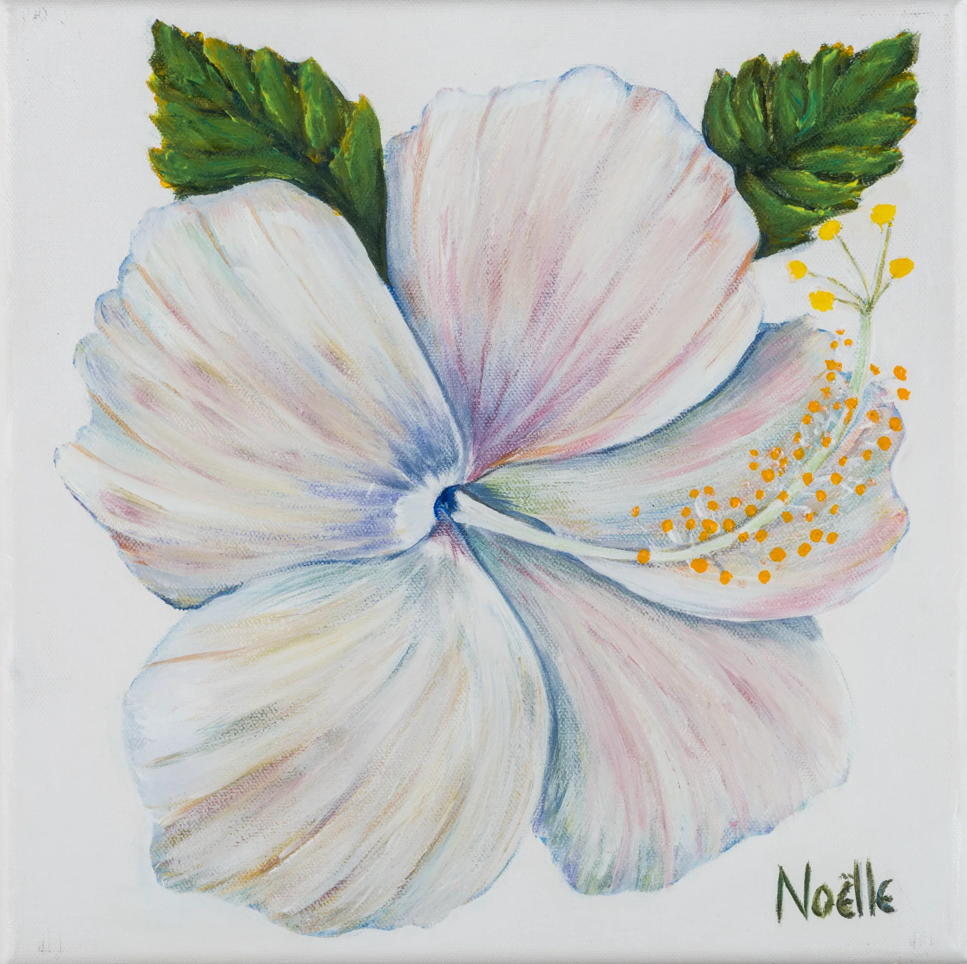 #1109 - Islamorada Hibiscus