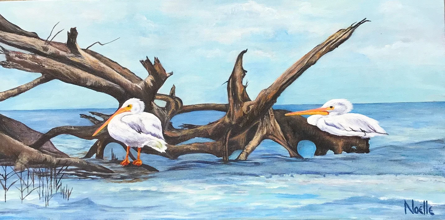 "Drifting Snowbirds"