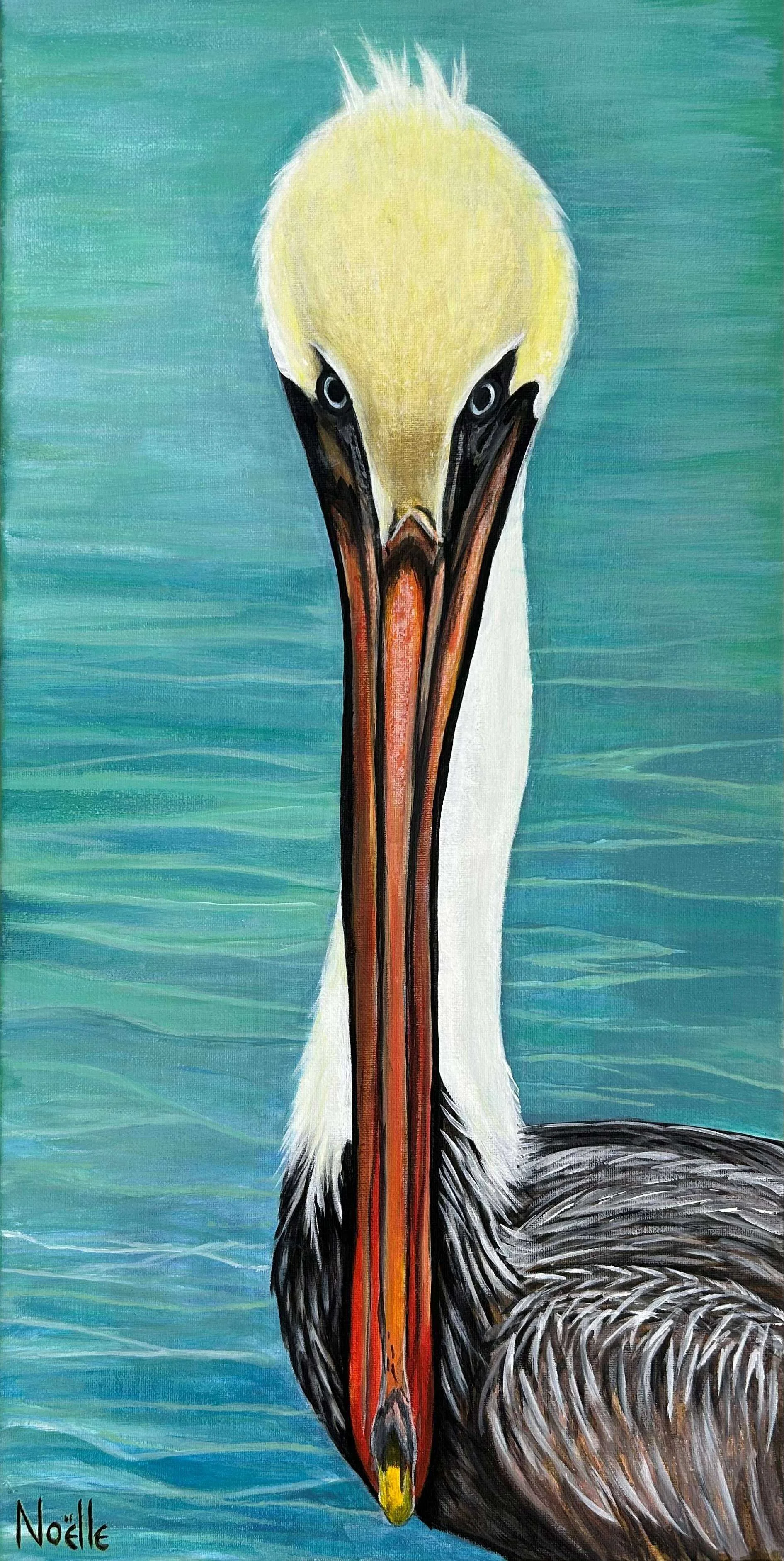 Pelican Stare