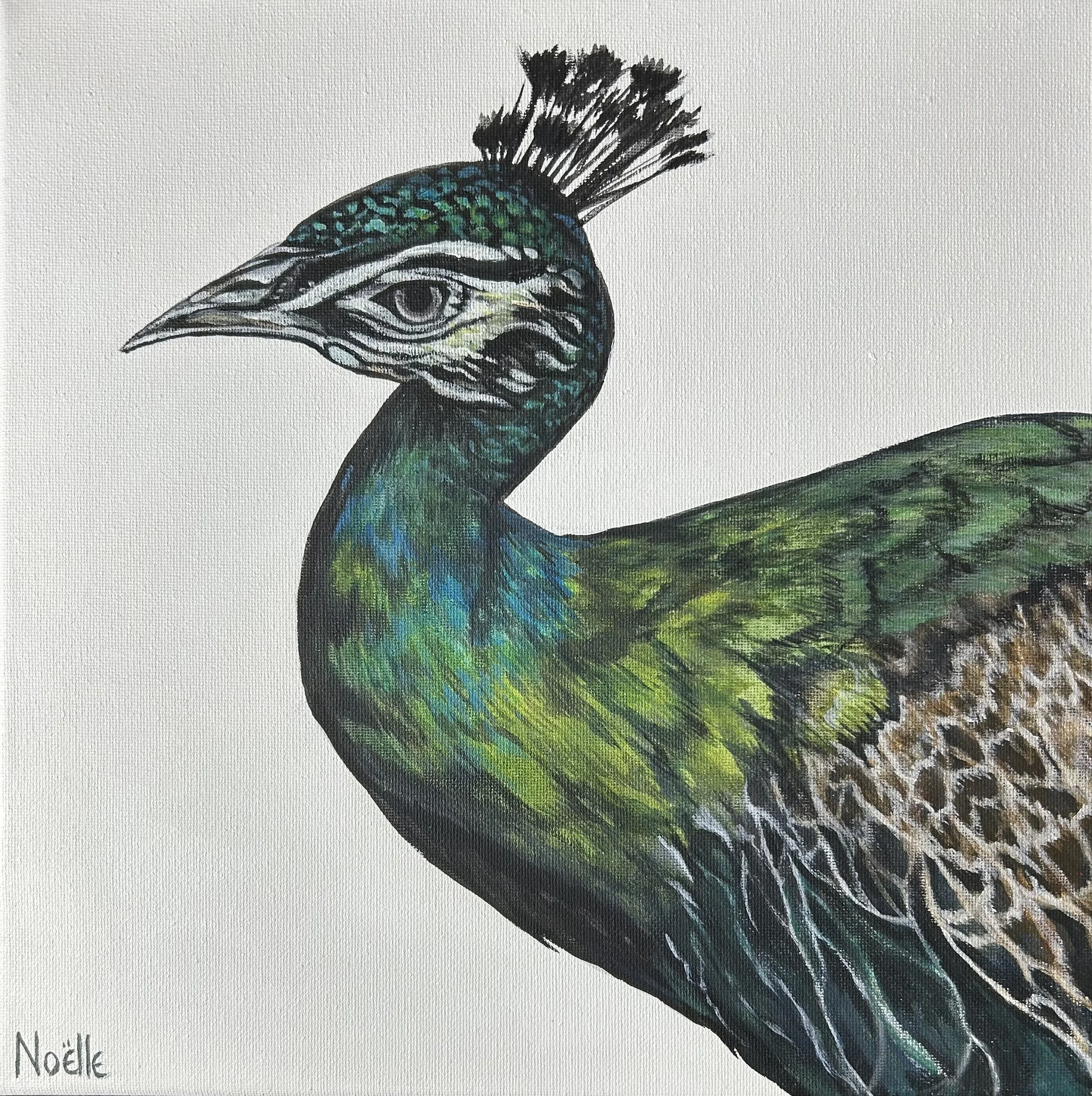 Emerald Peacock