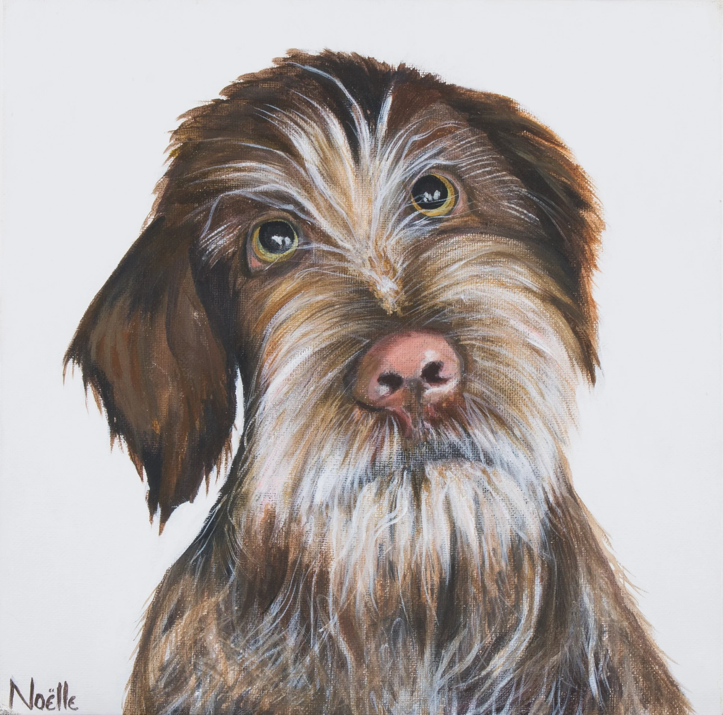 Duke