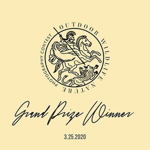 Grand_Prize_Winner_Badge+(1)2.jpg