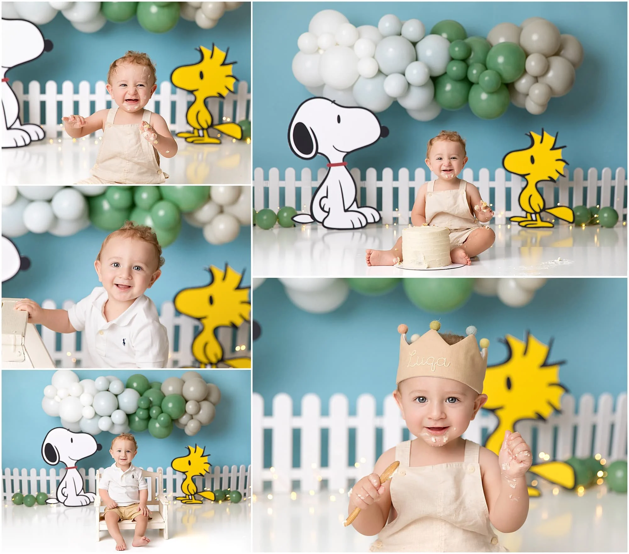  Peanuts, Snoopy and Woodstock them for smash the cake session 