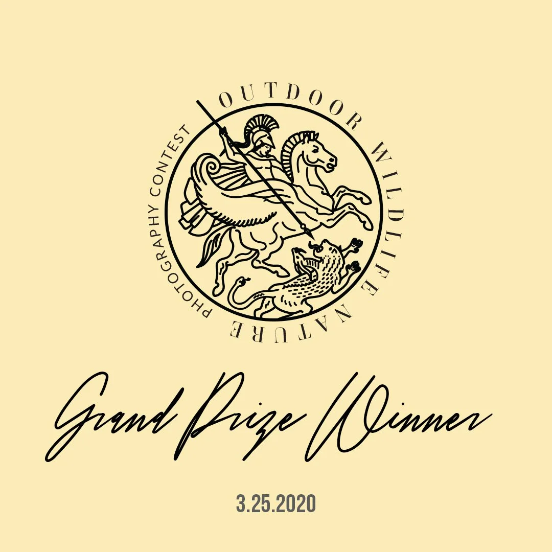 Grand_Prize_Winner_Badge (1).jpg