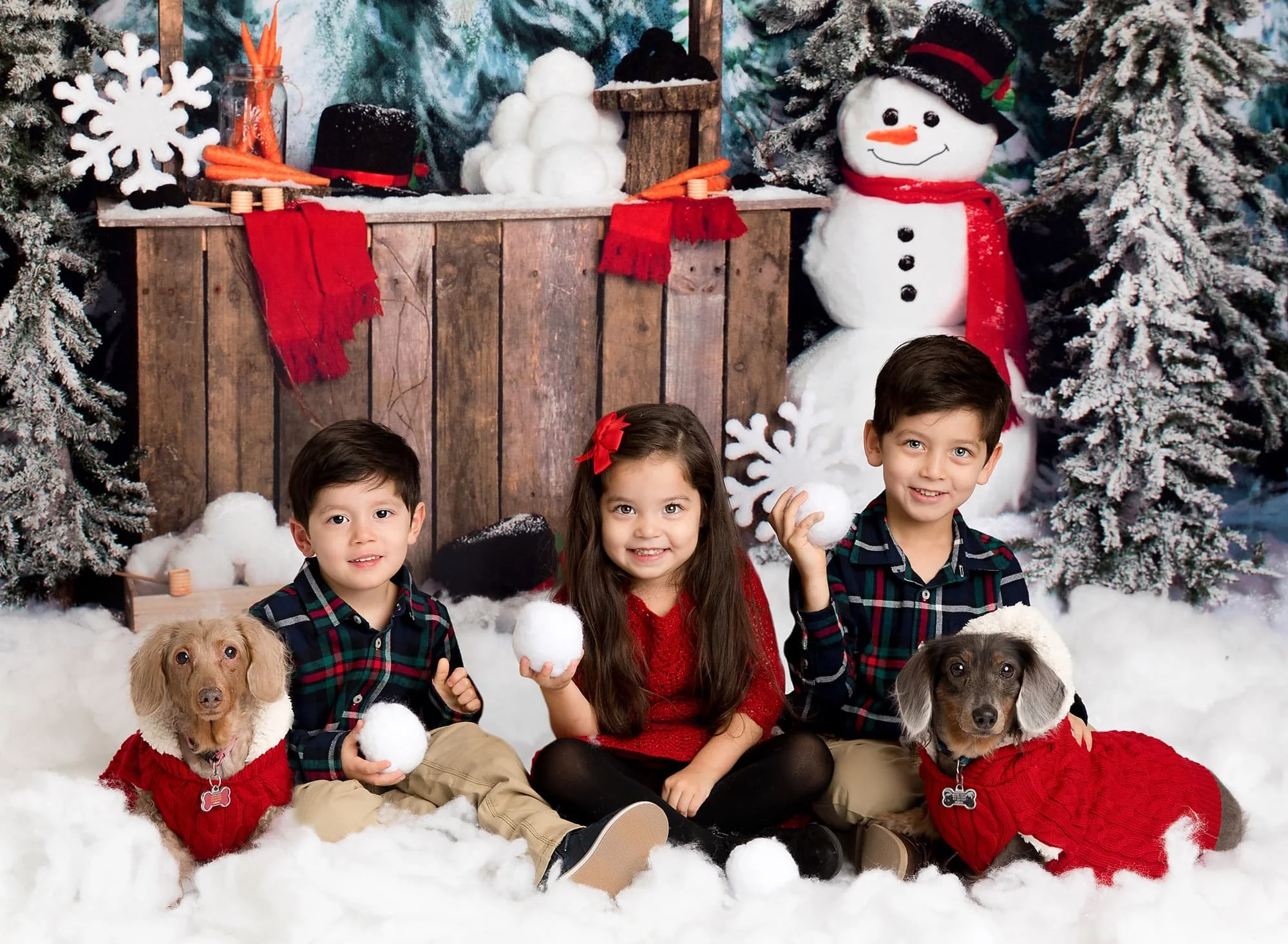 2018-004-holiday-mini-session-kids-pets.jpg