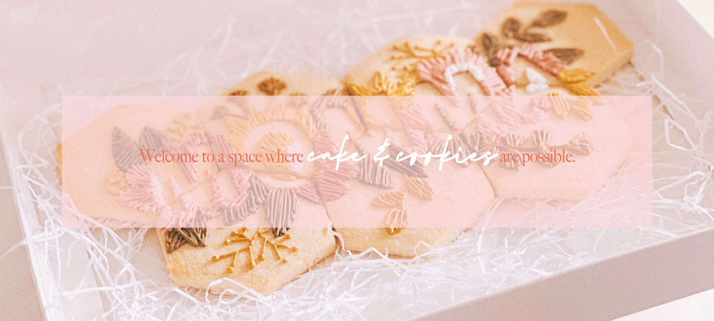 front second image_1.png