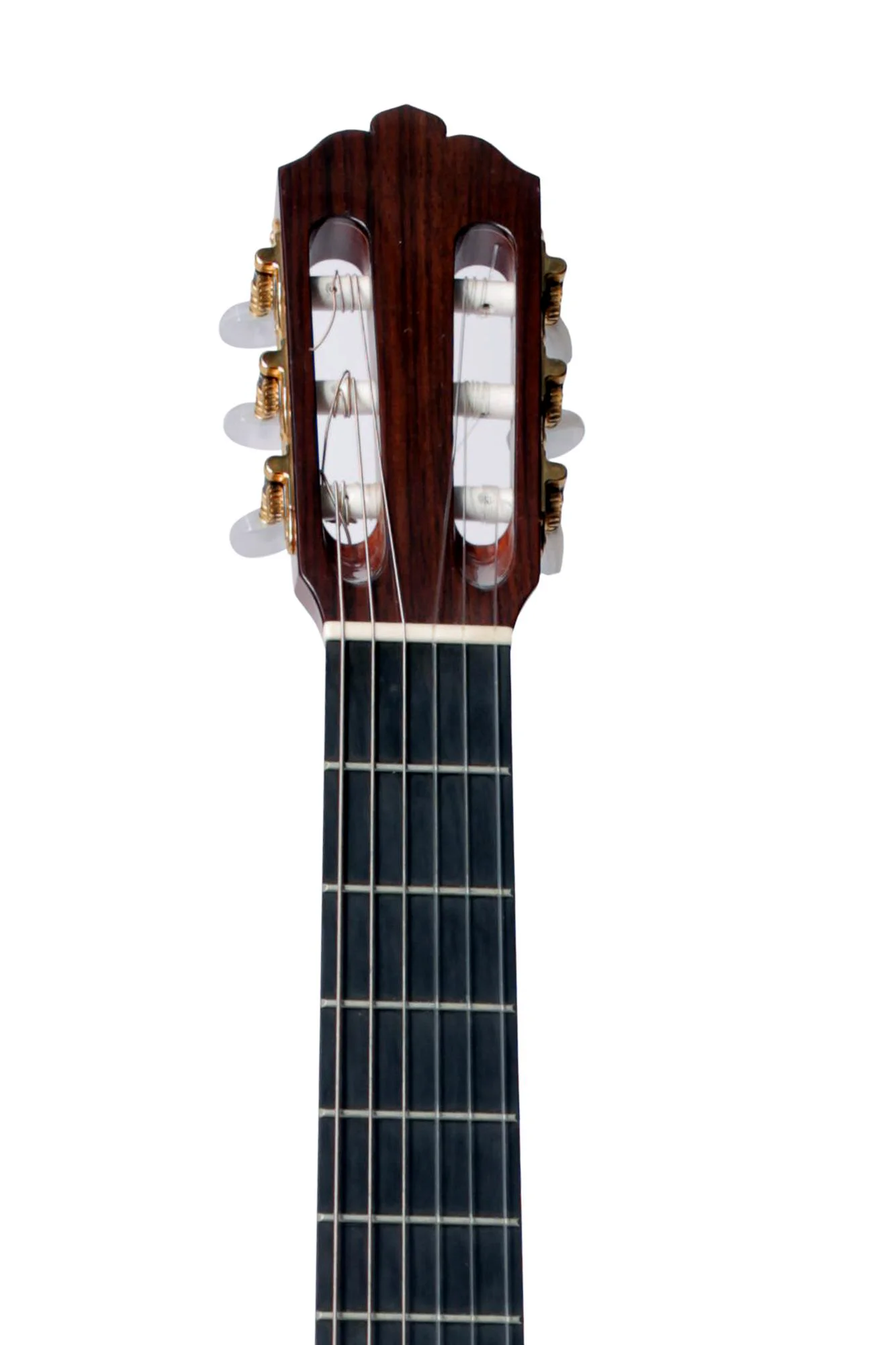 George Ziata - neck-2000.jpg