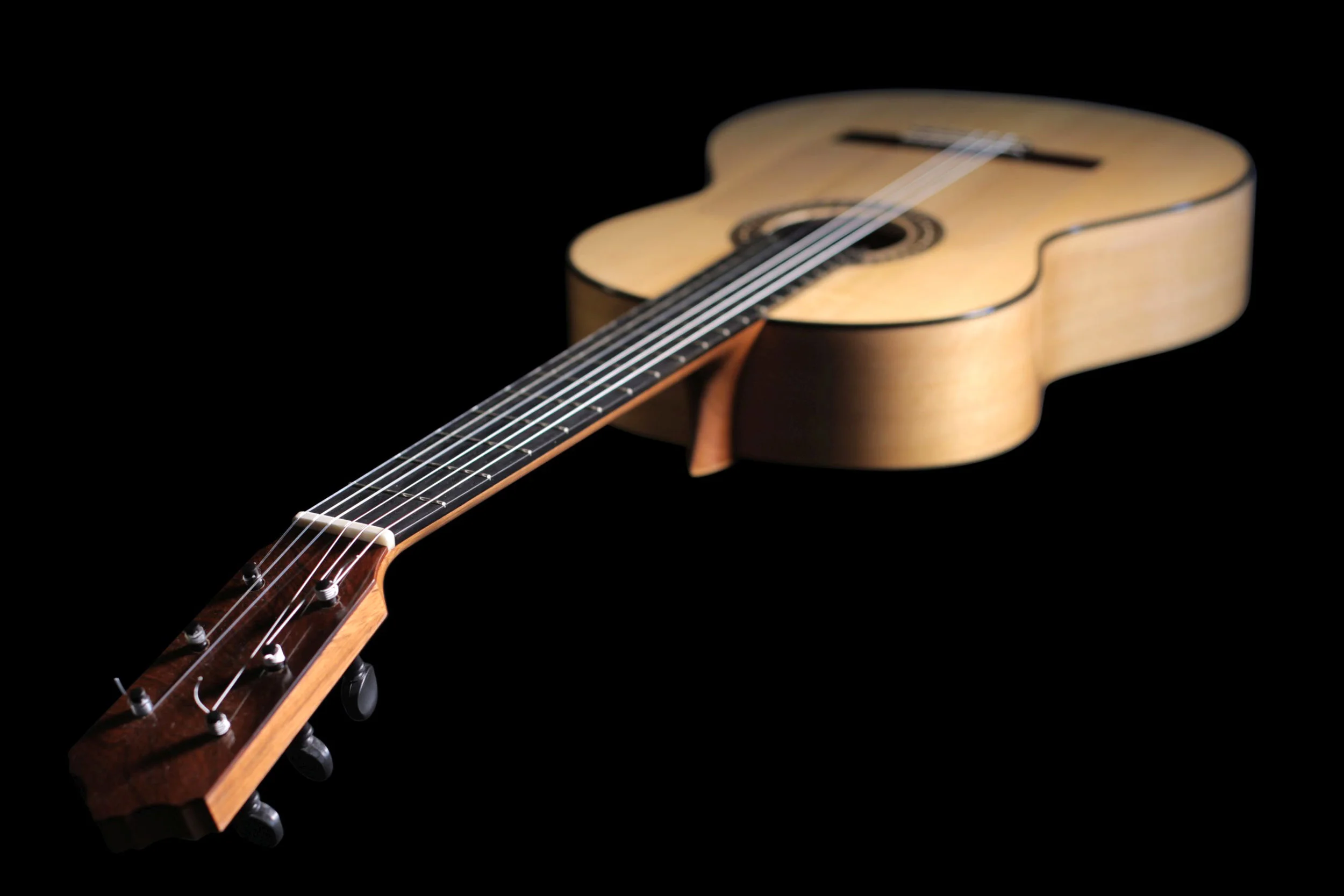 Erez Perlman Flamenco-black3-2000.jpg