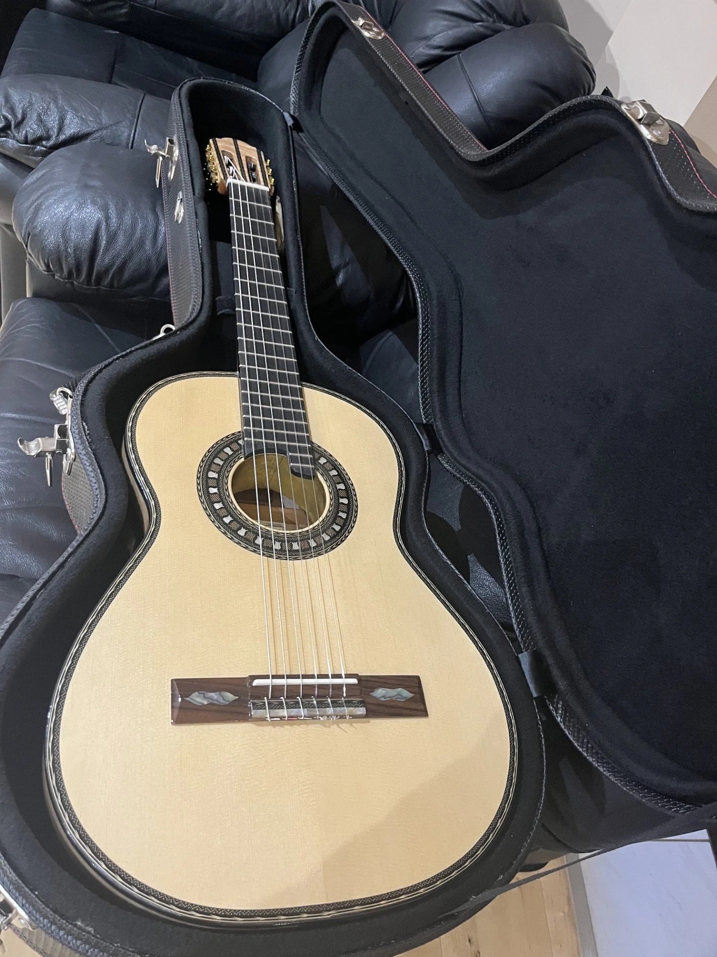 GUitar in Case.jpg