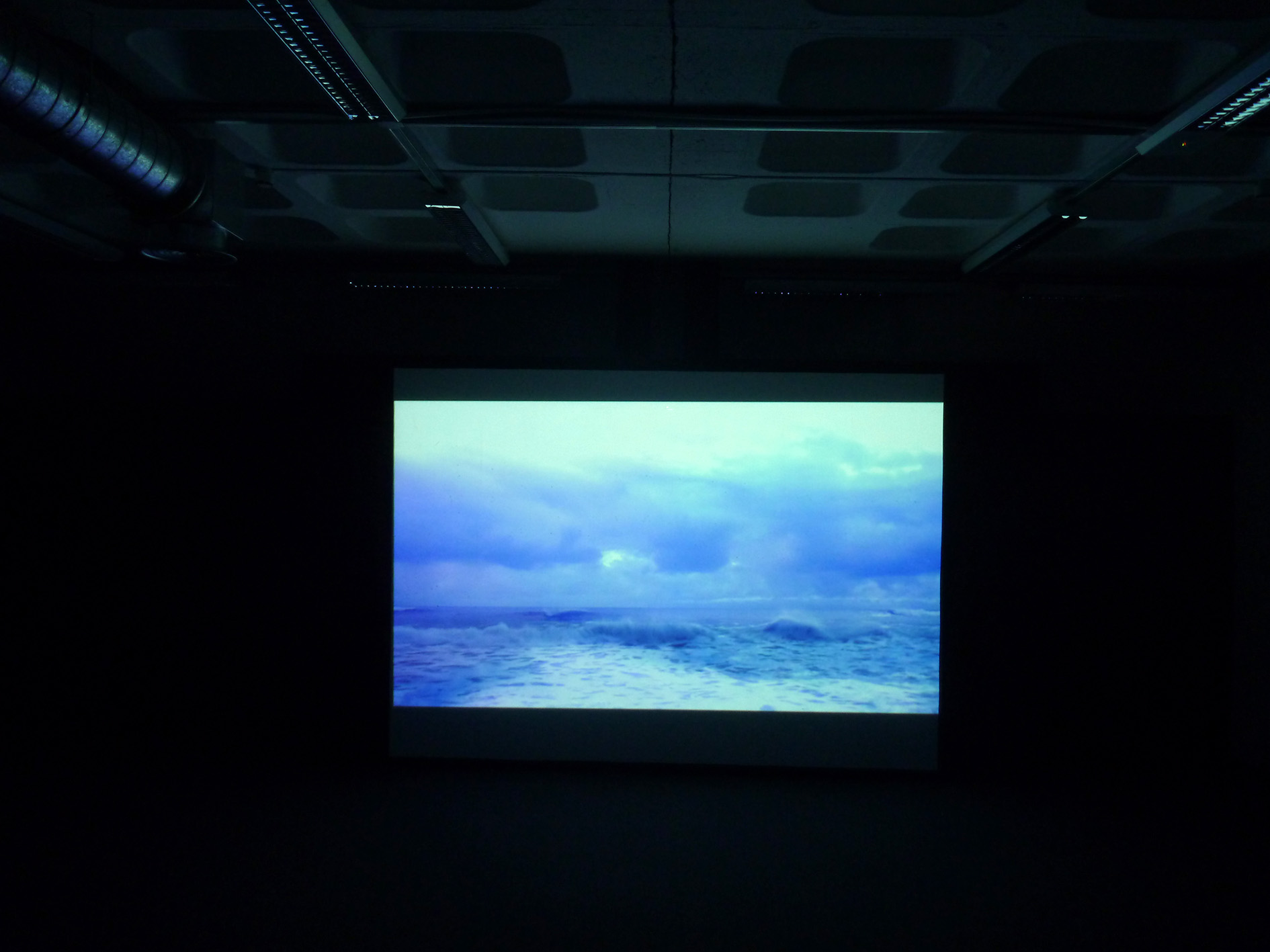 Installation view.
