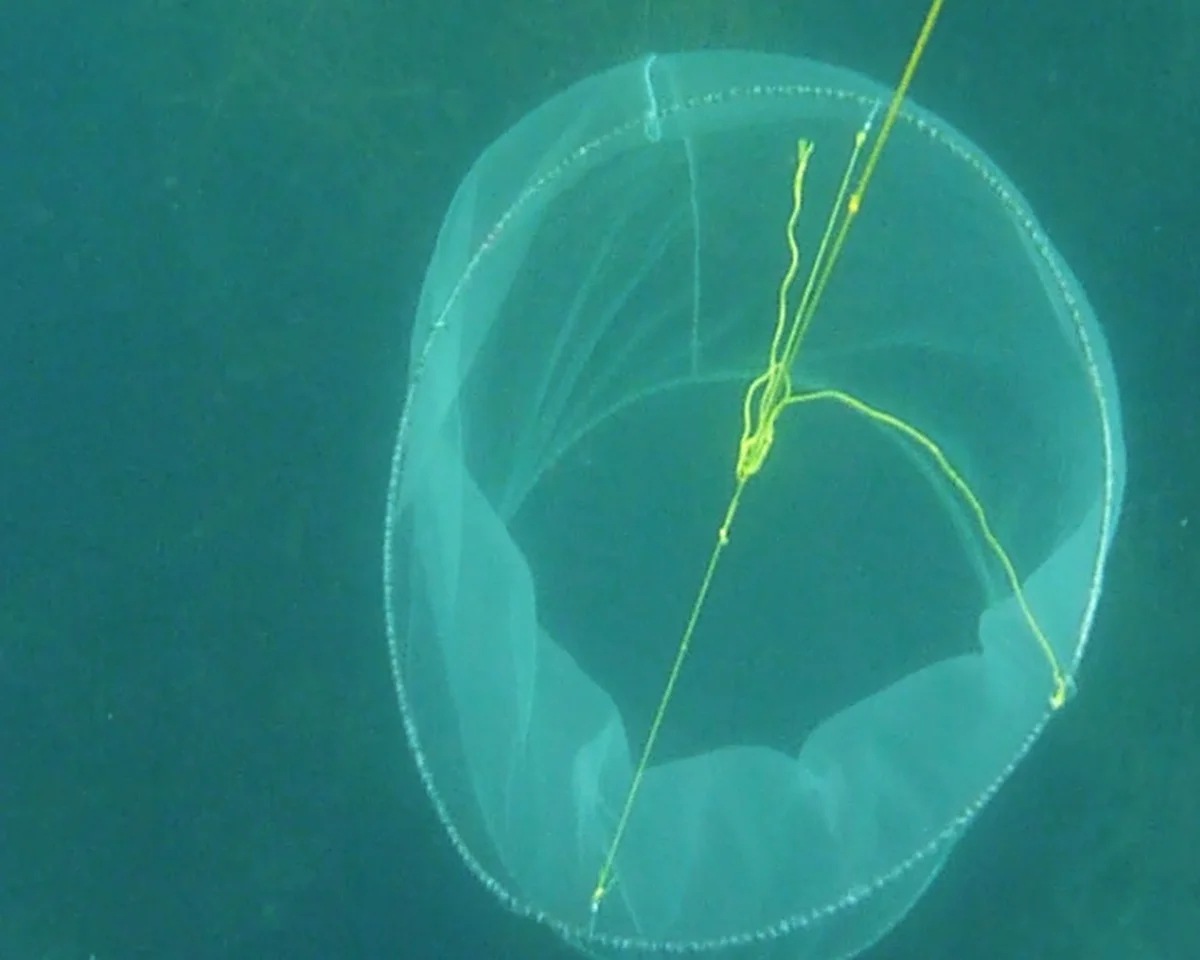 documentation video still 1 copy.JPG