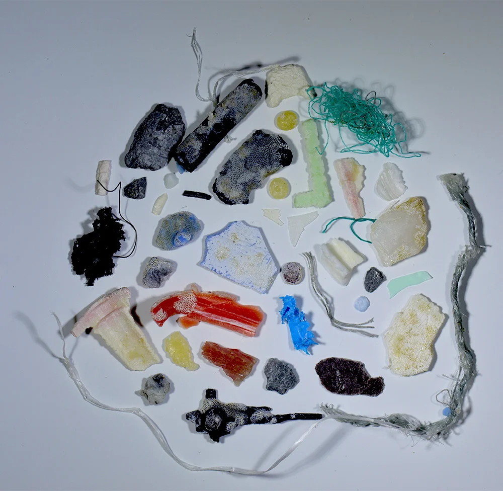 gyre 3.jpg