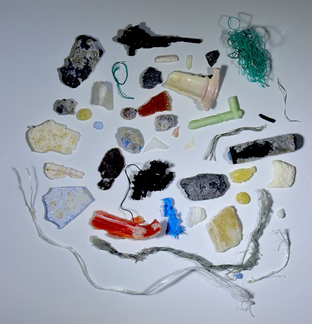 gyre 5.jpg