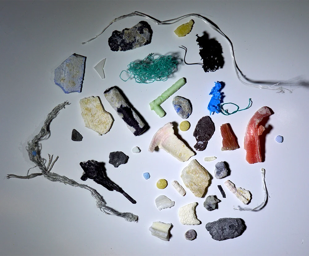 gyre 10.jpg