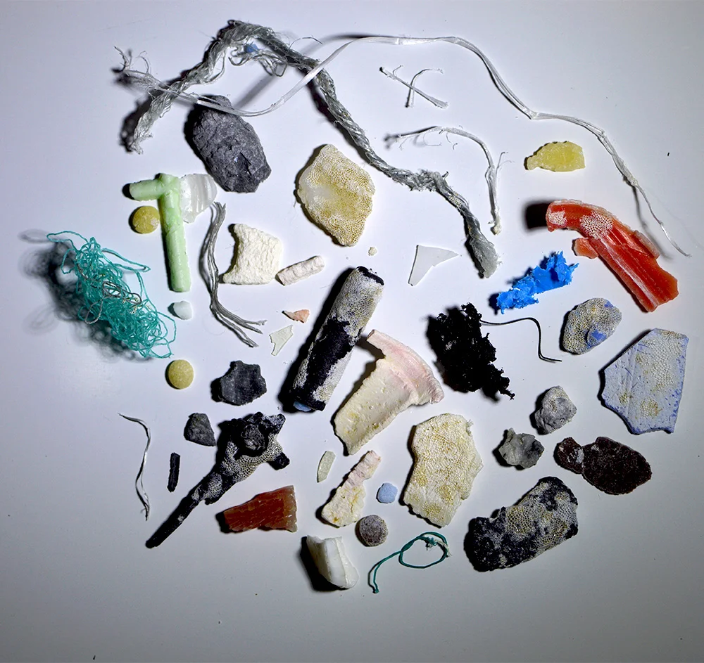 gyre 9.jpg