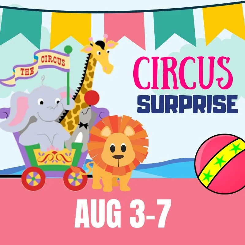  Twirl your way under the big top and tiptoe across the tightrope! Learn to tame lions and feed peanuts to the elephants as you dance your way through this spectacular six week session. Dancers will finish camp with a free final performance for famil