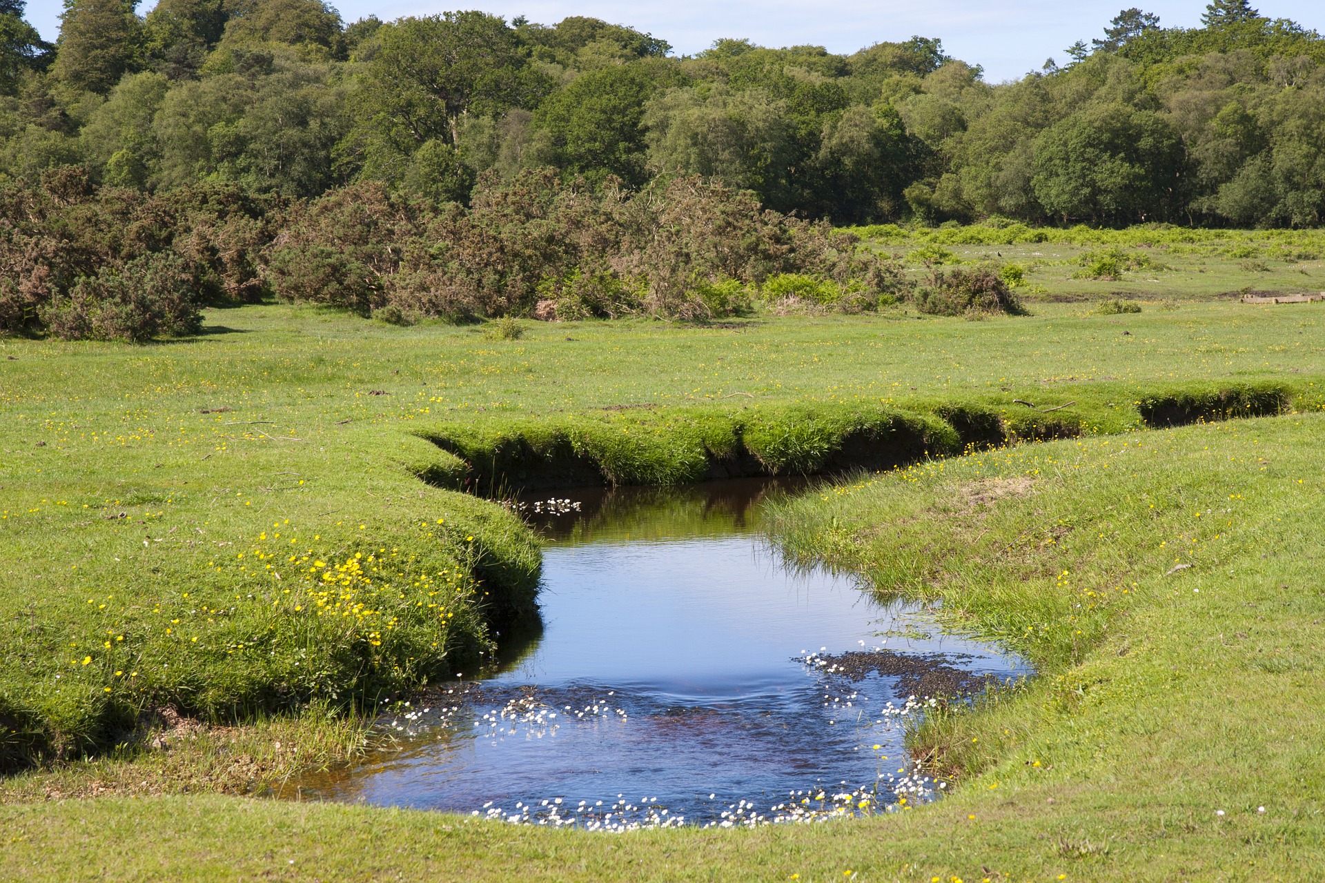 countryside-901965_1920.jpg