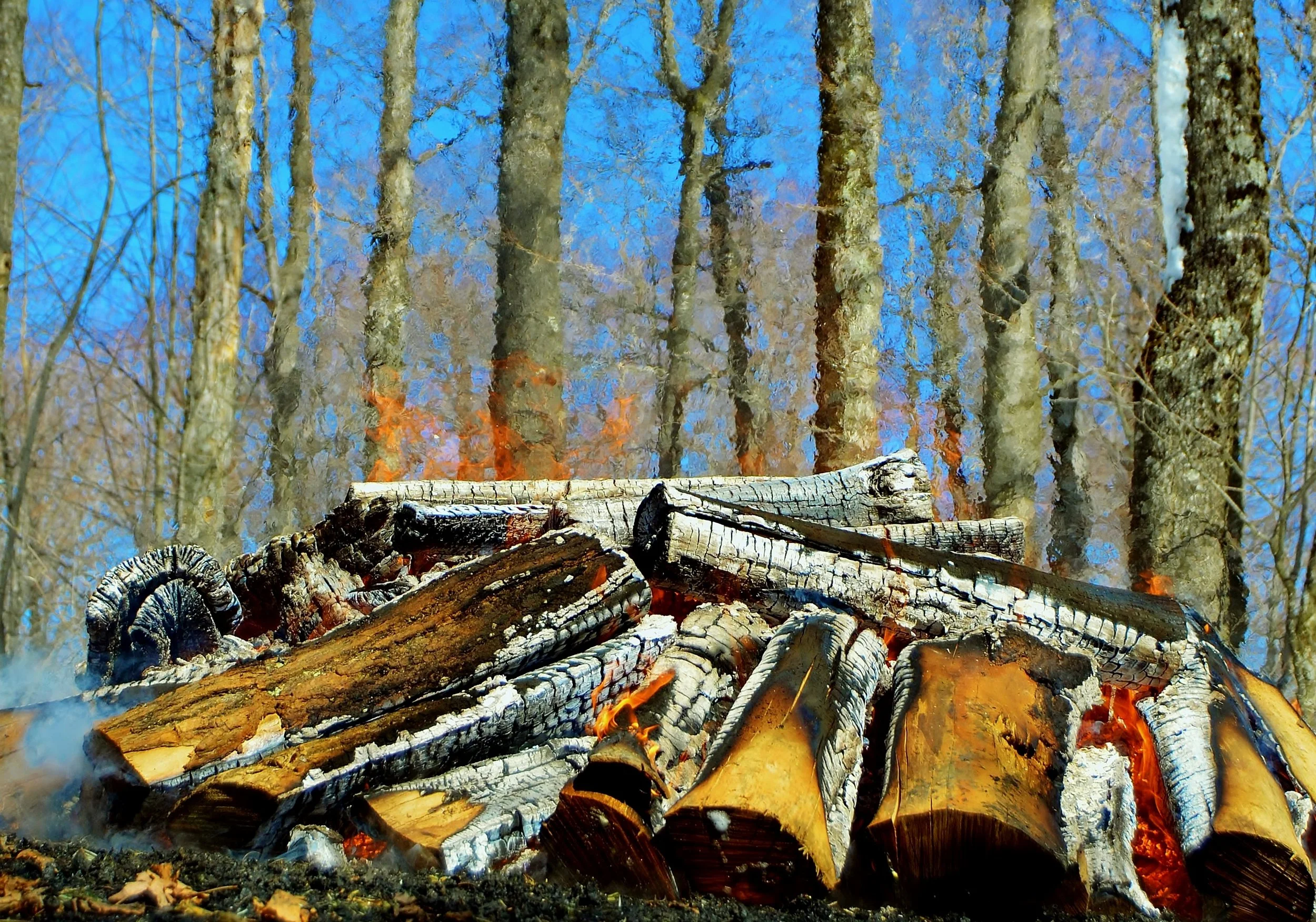 DSC_0906.jpg