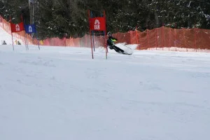 20140223_603-300x200.jpg