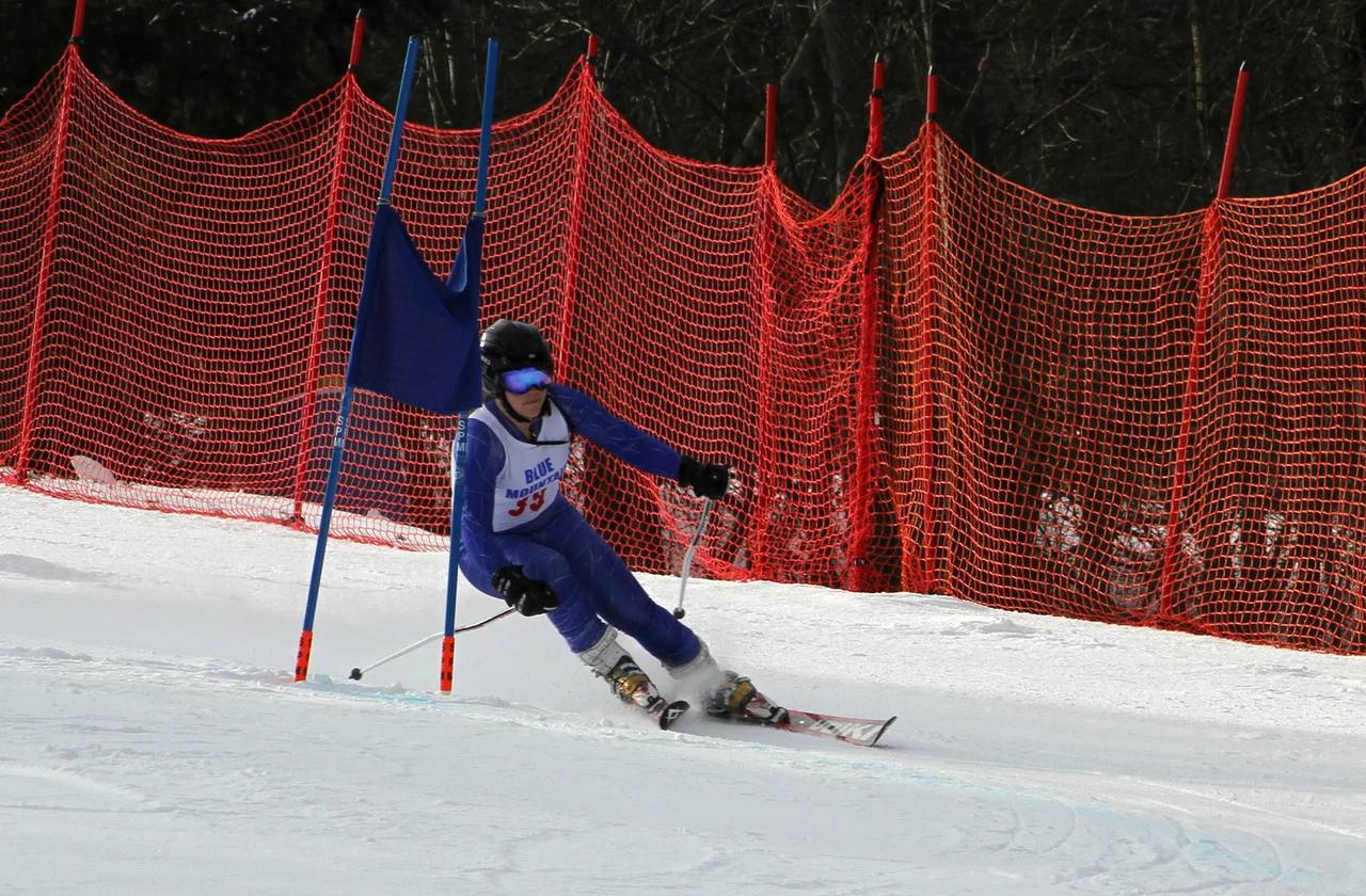 IMG_8231-X2.jpg