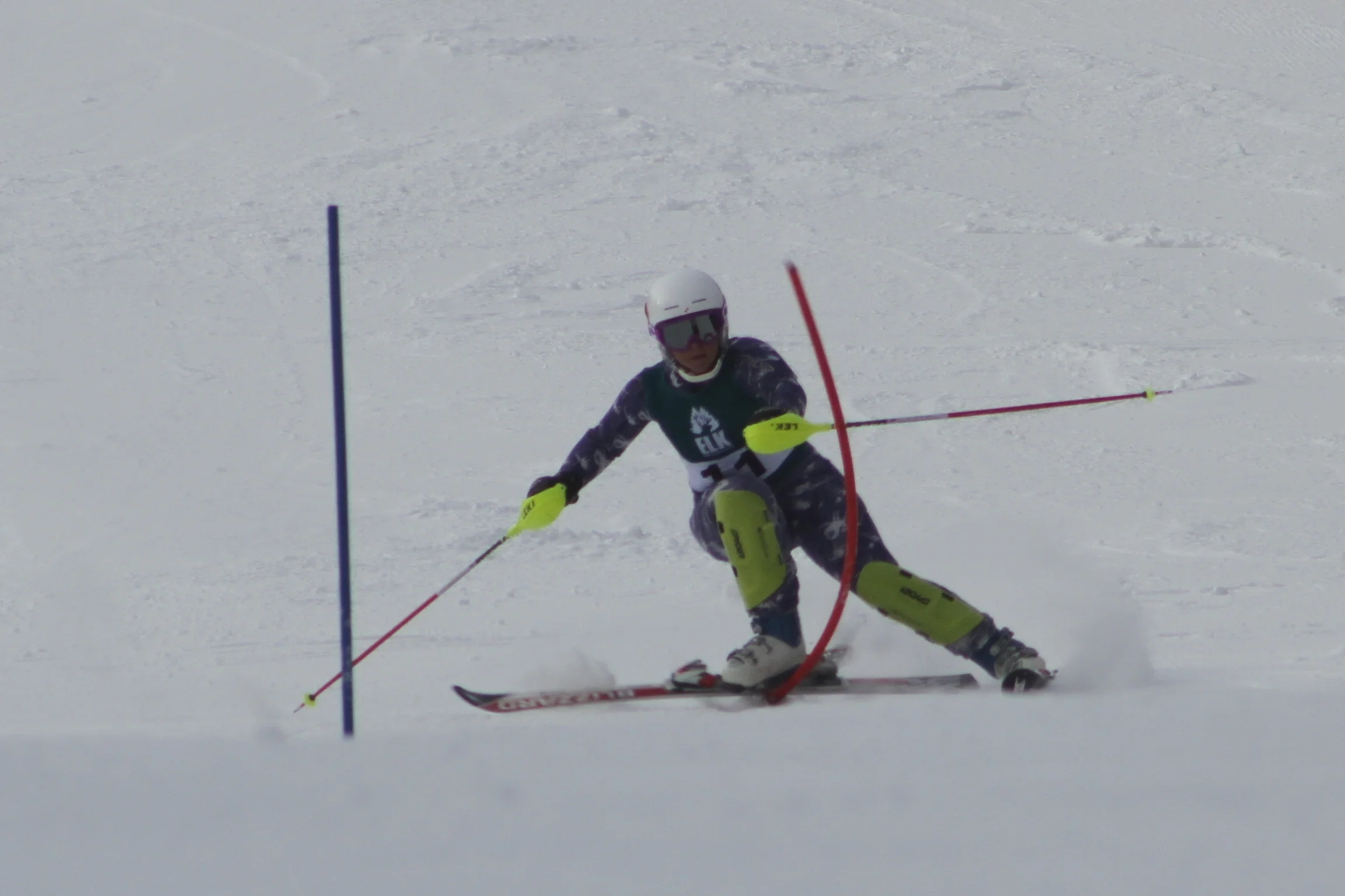 IMG_9684.jpg